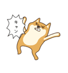 犬VSねこ（個別スタンプ：21）