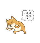 犬VSねこ（個別スタンプ：22）