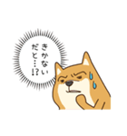 犬VSねこ（個別スタンプ：31）