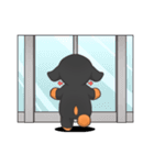 アオのスタンプ（個別スタンプ：36）