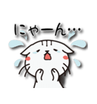 にゃにゃん吉（個別スタンプ：19）