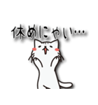 にゃにゃん吉（個別スタンプ：24）