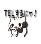 にゃにゃん吉（個別スタンプ：31）