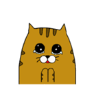 ねこまてぃの日常（個別スタンプ：15）