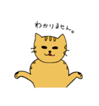 ねこまてぃの日常（個別スタンプ：17）
