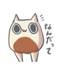 ねこんぷ（個別スタンプ：10）