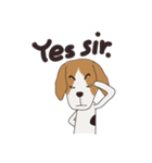 ビーグル犬's（個別スタンプ：36）