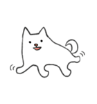 白い秋田犬（個別スタンプ：23）