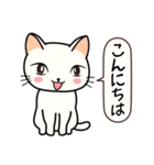 ねここちゃん 1（個別スタンプ：1）