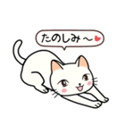 ねここちゃん 1（個別スタンプ：9）