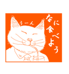 猫実（オレンヂ版）（個別スタンプ：21）