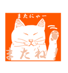 猫実（オレンヂ版）（個別スタンプ：40）