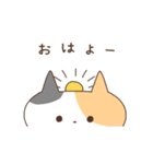 みけこねこ（個別スタンプ：13）