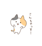 みけこねこ（個別スタンプ：14）