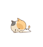 みけこねこ（個別スタンプ：19）