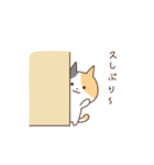 みけこねこ（個別スタンプ：28）