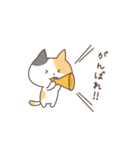 みけこねこ（個別スタンプ：29）