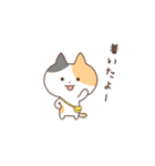 みけこねこ（個別スタンプ：34）