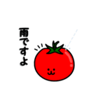 トマトマトさん（個別スタンプ：33）