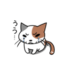 ムタソとヒゲ（個別スタンプ：16）