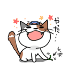 ムタソとヒゲ（個別スタンプ：34）