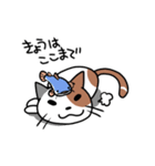 ムタソとヒゲ（個別スタンプ：40）