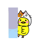 猫かぶりひよこ（個別スタンプ：22）