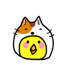 猫かぶりひよこ（個別スタンプ：39）