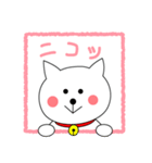 ねこのシロ（個別スタンプ：8）