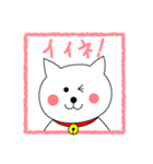 ねこのシロ（個別スタンプ：16）