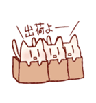 らくがき☆ねこ（個別スタンプ：3）