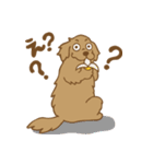 お気楽ゴールデン（個別スタンプ：24）