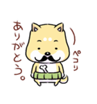 柴犬と三毛猫（個別スタンプ：4）