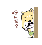 柴犬と三毛猫（個別スタンプ：36）