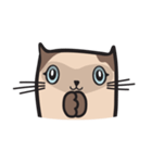 CAT E-SAN (EN)（個別スタンプ：1）