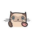 CAT E-SAN (EN)（個別スタンプ：5）
