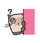CAT E-SAN (EN)（個別スタンプ：10）