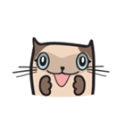 CAT E-SAN (EN)（個別スタンプ：12）