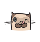 CAT E-SAN (EN)（個別スタンプ：13）