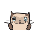 CAT E-SAN (EN)（個別スタンプ：19）