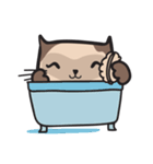CAT E-SAN (EN)（個別スタンプ：20）