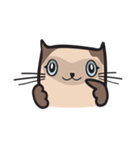 CAT E-SAN (EN)（個別スタンプ：21）