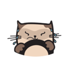 CAT E-SAN (EN)（個別スタンプ：22）