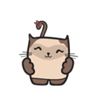 CAT E-SAN (EN)（個別スタンプ：26）