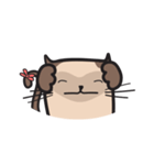 CAT E-SAN (EN)（個別スタンプ：29）