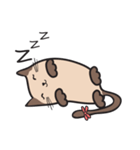CAT E-SAN (EN)（個別スタンプ：31）
