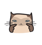CAT E-SAN (EN)（個別スタンプ：32）