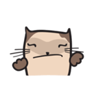 CAT E-SAN (EN)（個別スタンプ：33）