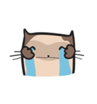 CAT E-SAN (EN)（個別スタンプ：37）