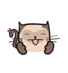 CAT E-SAN (EN)（個別スタンプ：40）